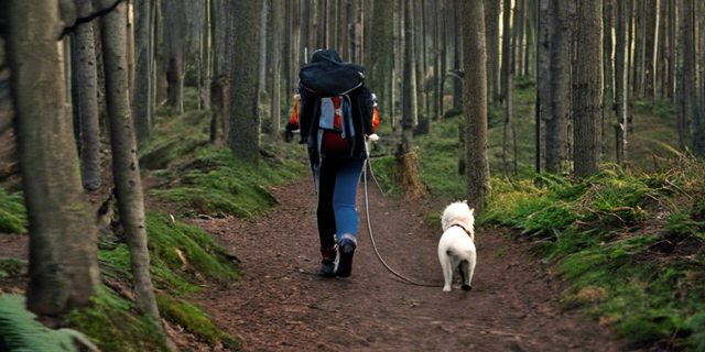 How to Keep Your Pet Safe During Outdoor Adventures